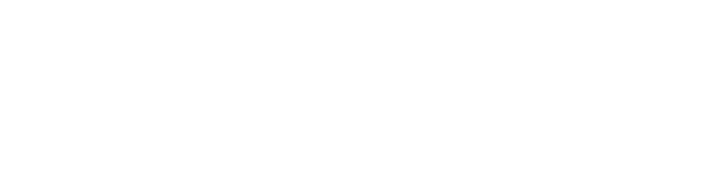 Tesla Prime Finance